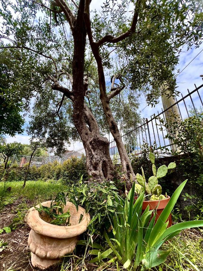 Casa Vacanze "Sautufao" Santa Venerina Extérieur photo